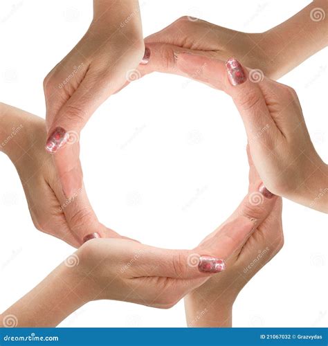 hands  circle  white background stock photo image  human