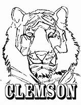 Clemson Printable Downloads sketch template
