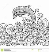 Delfin Zentangle Erwachsene Ausmalbilder Scrolling sketch template