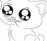 Coloring Pages Cuddly Filminspector Downloadable Kittens Kitten Pets Great Kids Make sketch template