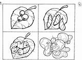 Life Cycle Coloring Pages Butterfly Getdrawings sketch template