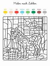 Zahlen Malen Pferd Ausmalbilder Pferde Stall Vorlage Ausmalbild Coloriage Malvorlage Magique Cheval Ihr Kostenlosen Ganze Motiv Erstaunlich Rechnen Caballo Einhorn sketch template