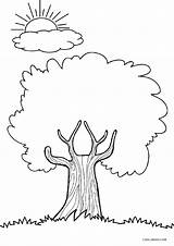 Baum Cool2bkids Bäume Storytime Malvorlagen sketch template