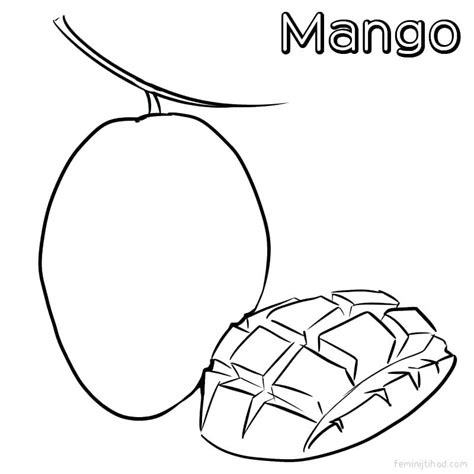 mango tree drawing    clipartmag