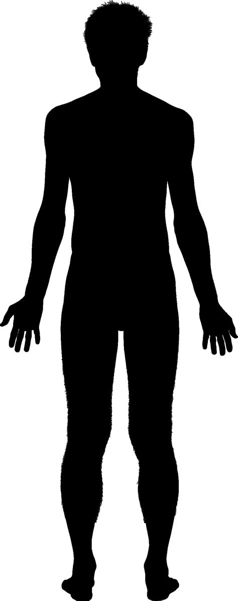 outline   body clipart