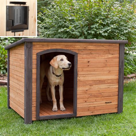 pictures  dog houses give  inspirations  selecting