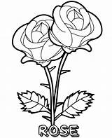 Coloring Roses Flowers Two Rose Blooming Printable Sheet Print sketch template