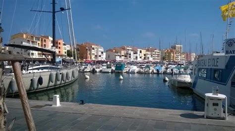 Marina Harbour Cap D Agde Picture Of Centre Naturiste Rene Oltra