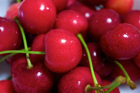 File Cherry Fruit 01  Wikimedia Commons