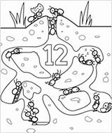 Coloring Preschool Ant Ants Underground Pages Hormigas Printable Colony Animals Clipart Las Para Cliparts Color Hormiguero Online Games Library Activities sketch template