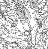 Ausmalbilder Dschungeltiere Dschungel Malvorlagen Tierwelt Schlange sketch template