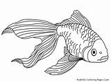Coloring Pages Realistic Fish Kids Goldfish Gold Printable Drawing Line Tropical Drawings Titan Posted Cool sketch template