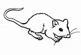 Szczur Kolorowanki Rato Ratos Bestcoloringpagesforkids Dzieci Kleurplaten Wydruku Dier Afdrukbare sketch template