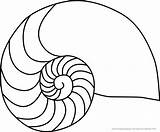 Muschel Malvorlage Nautilus sketch template