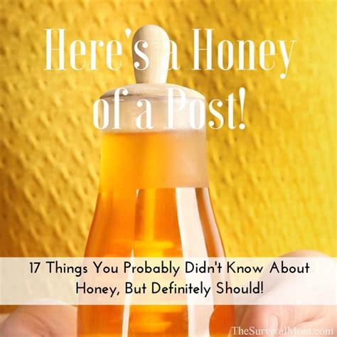 17 things you probably didn t know about honey but definitely should