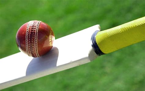 pallisree cricket coaching blog   cricket bat   leather ball