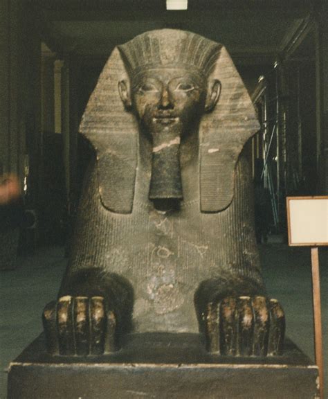 The Sphinx Of Queen Hatshepsut Egypt In My Heart
