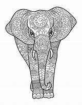 Coloring Animals Adult Pages Color Book Books Adults Amazing Animal Mandala Colouring Sold Life Kids sketch template