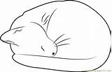 Cat Sleeping Coloring Pages Coloringpages101 Color sketch template