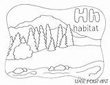 Coloring Letter Alphabet Nature Habitat Homeschool sketch template