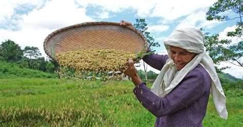 filipino farmer regeneration international