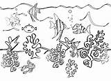 Coloring Ocean Sea Pages Drawing Underwater Animals Plants Printable Deep Life Scene Ecosystem Floor Creatures Animal Print Sketches Clipart Fish sketch template