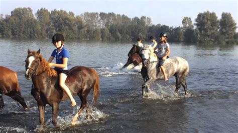 water cross met paarden  de slingeplas aalten youtube