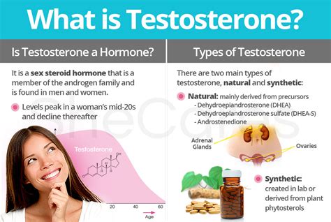 What Is Testosterone Shecares
