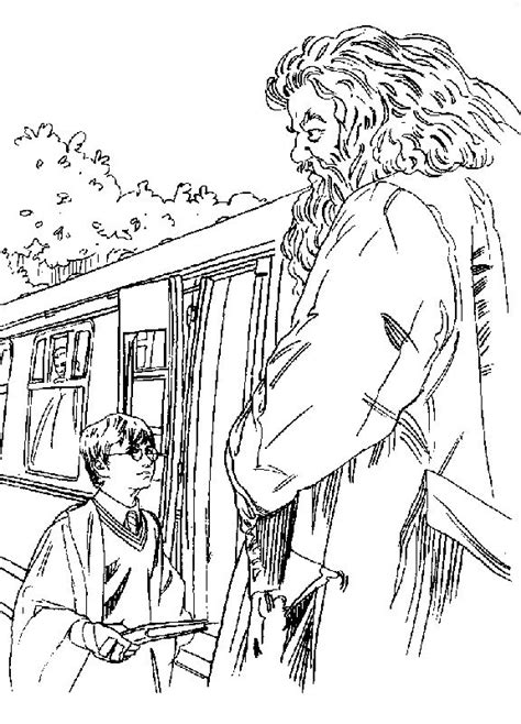 harry potter colouring google search harry potter coloring pages