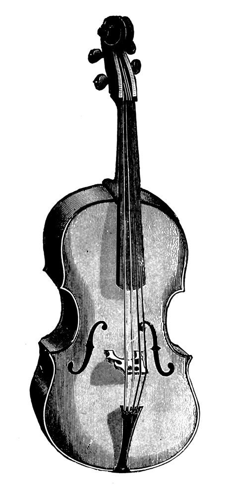 catalogueofmusicmurrorig violoncello   public domain