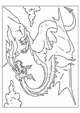 Drache Draak Malvorlage Dragone Schoolplaten Schulbilder Educolor sketch template