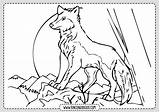 Wolf Lobos Pintar Sheets Wolves Templates Rincondibujos sketch template
