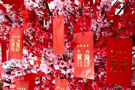 chinese  year decorations  traditional home decor