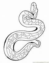 Printable Snake Coloring Pages Popular sketch template