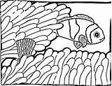 Fish Coloring Pages Kids Printable Clown sketch template