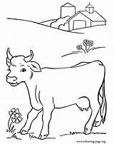 Coloring Pages Cow Printable Cows Colouring Pasture Farm Animal Calves Clipart Cute Kids Books Walking Jersey Drawings Drawing Animals Worksheets sketch template