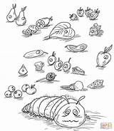Hungry Caterpillar Coloring Very Pages Foods Printables Drawing Fruits Eric Carle Book Printable Junie Jones Go Color Supercoloring Clipart Getcolorings sketch template