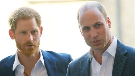princes william  harry   banned   world cup