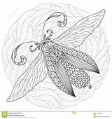 Moth Lepidottero Dettagliato Ornamentale Schizzo sketch template