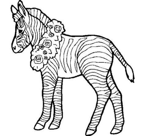 printable coloring pages   zebra zebra coloring pages horse