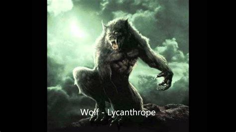 wolf lycanthrope youtube
