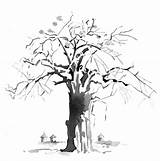 Baobab Tree Drawing Getdrawings sketch template