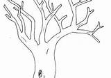 Branche Arbre Coloriage sketch template