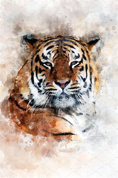 tiger watercolor illustration port tiger painting watercolor tiger