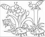Coloring Pages Kids Insects Spring Popular sketch template