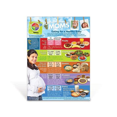 Myplate For Expecting Moms Poster Pregnancy Nutrition Visualz