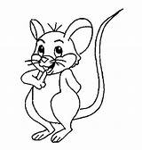 Coloring Rat Mouse Printable Pages sketch template