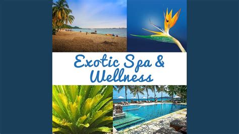 exotic spa wellness youtube