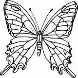 Schmetterling Malvorlagen Ausdrucken Schmetterlinge Drucken Malvorlage Mariposas Clipartmag Vorlage Vorlagen Schablonen Onlycoloringpages Muster sketch template