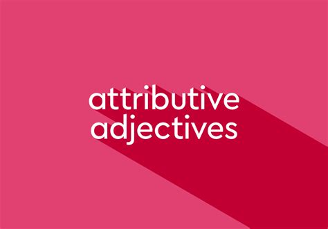 attributive adjective thesauruscom